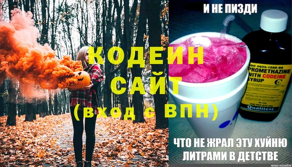 шишки Бежецк