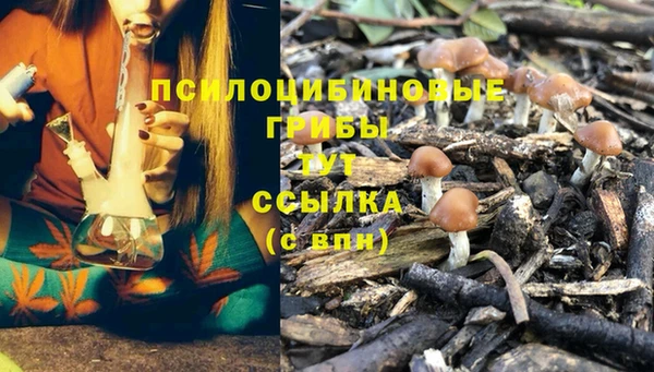 MESCALINE Богородицк