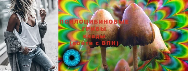 мескалин Новозыбков