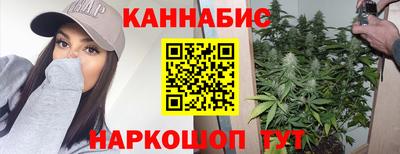 прущие крисы Кингисепп