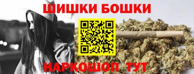 прущие крисы Кингисепп