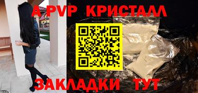 прущие крисы Кингисепп
