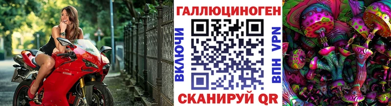 Псилоцибиновые грибы MAGIC MUSHROOMS где продают наркотики Иркутск