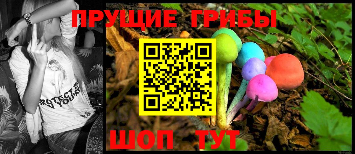 закладка  Иркутск  Галлюциногенные грибы Cubensis 